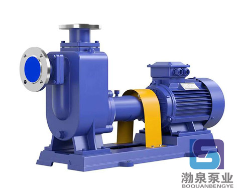 50ZW10-20_不銹鋼無(wú)堵塞自吸排污泵