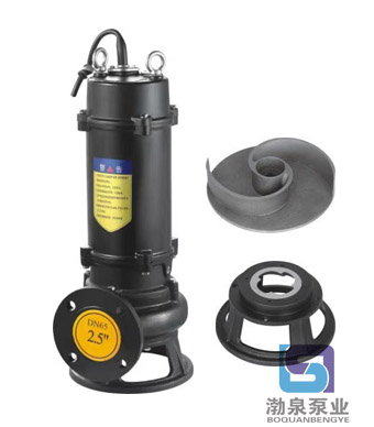 高揚(yáng)程雙鉸刀切割排污泵