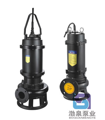 150WQ160-12-11_大功率高揚(yáng)程排污泵