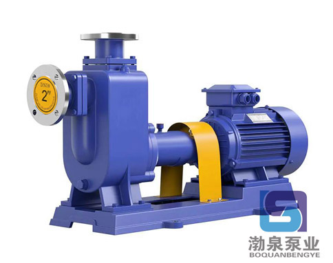 ZW65-40-25_自吸式無堵塞排污泵